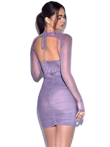 Purple Mesh Long Sleeve Dress